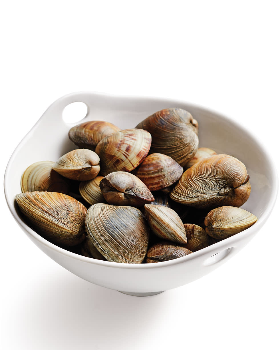 Varieties of Clams, Explained