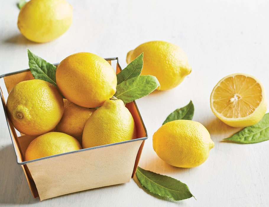 Article-All-About-Lemons-Lead