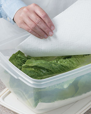 Roll Up Your Salad Greens to Keep Them Dry and Crisp
