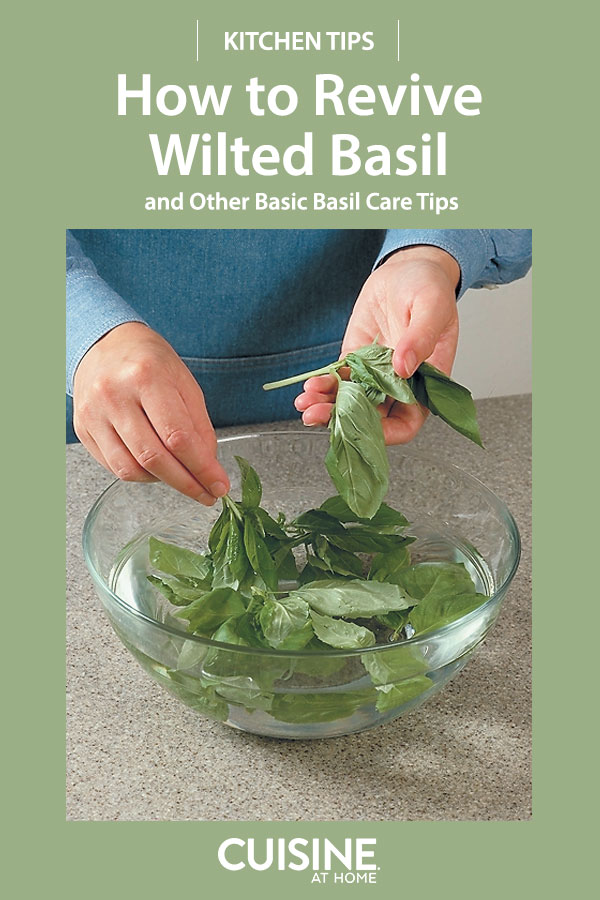 How to Revive Wilted Basil