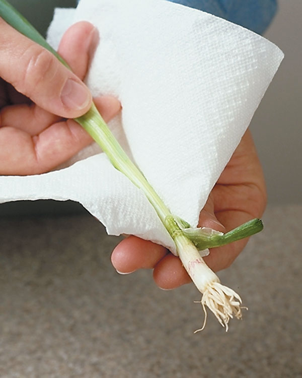 How to Clean & Prep Green Onions