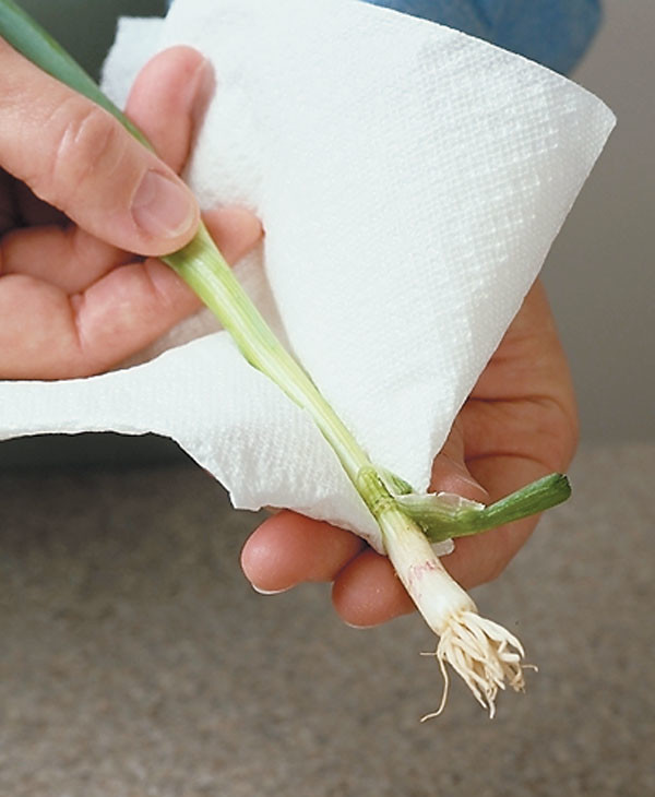 How to Clean Green Onions?