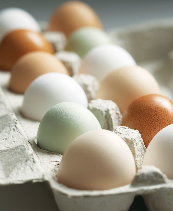 How to Tell if Eggs Are Fresh