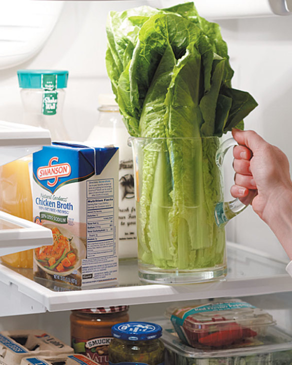 How to Properly Store Romaine Lettuce