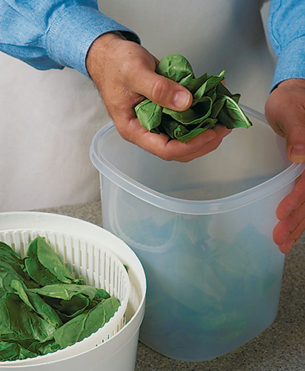 How To Properly Store Spinach To Keep It Fresher, Longer