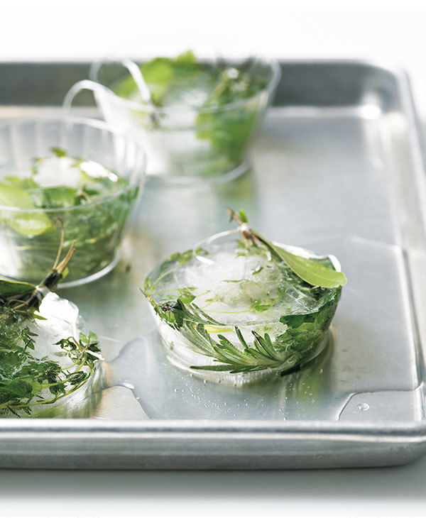 How to Freeze Fresh Herbs