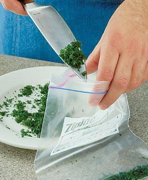 How to Freeze Fresh Herbs to Reduce Waste