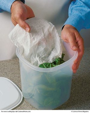 The Best Way to Store Fresh Spinach