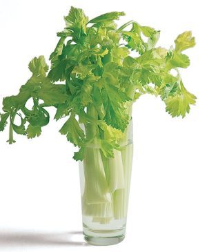 How to Revive Limp Celery