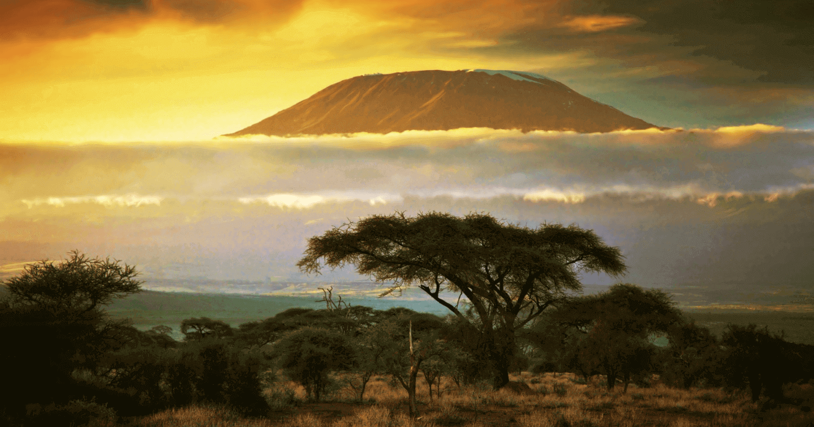 9 Amazing Things You Should Do in Kenya on Your Next Trip in 2024 