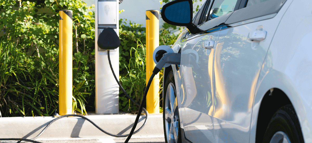 Electric Vehicle Focus in a Car Buying Guide