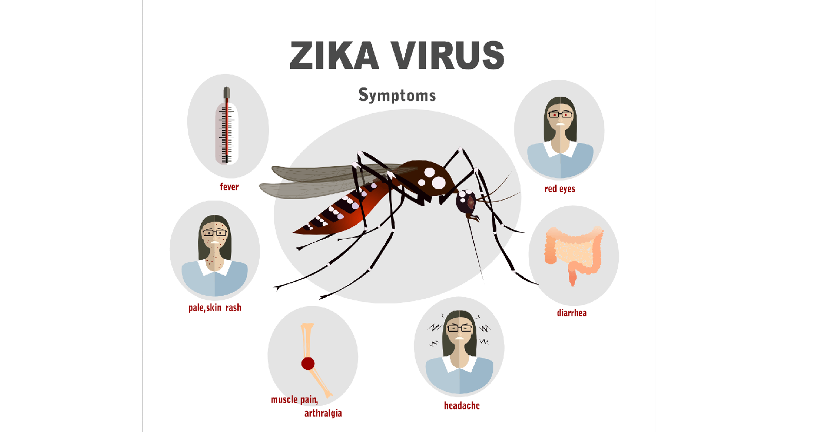 Symptoms of Zika Virus