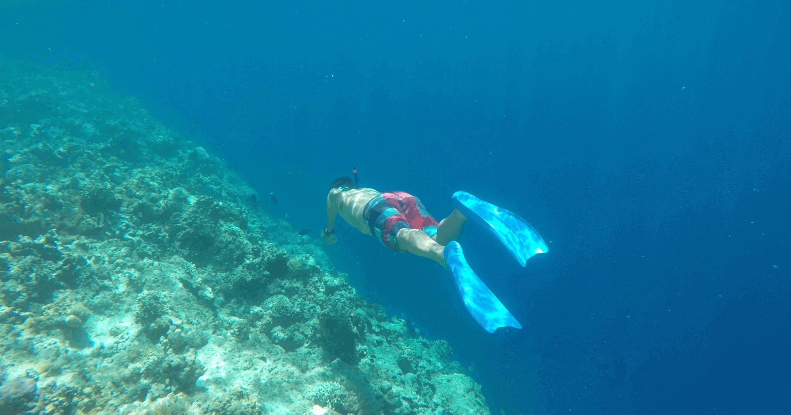 dive-or-snorkel-at-menjangan-island