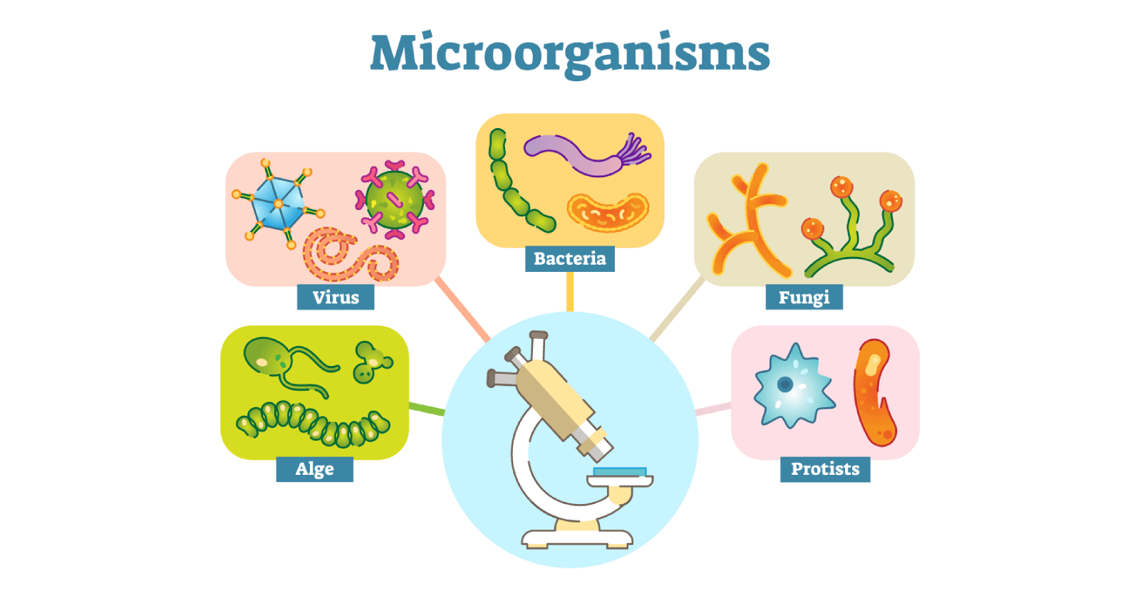 diseases-caused-by-microorganisms-symptoms-causes