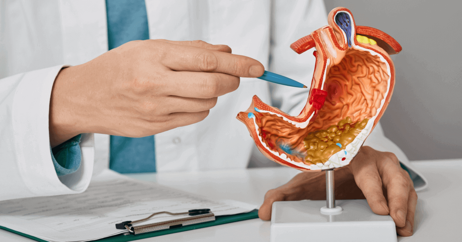 Gastroenterology: Understanding Your Digestive System
