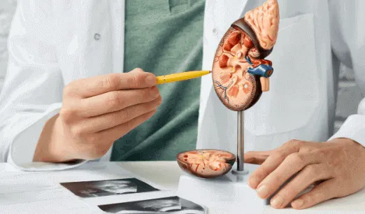 urology