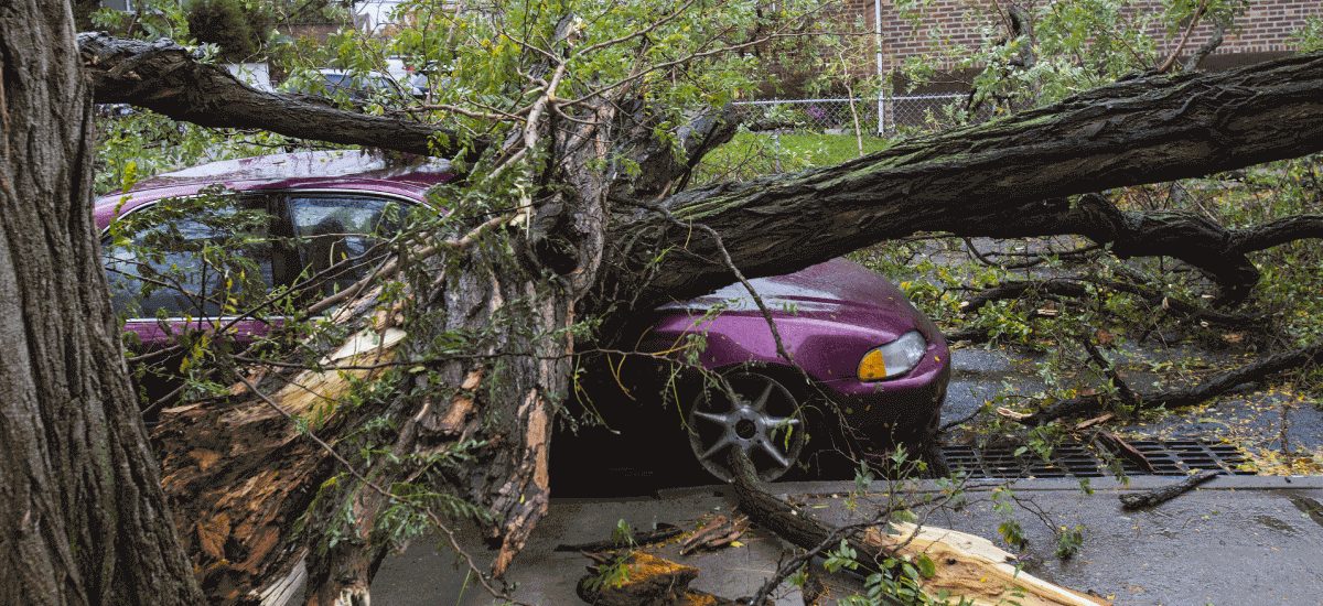 Does Car Insurance Cover A Natural Disaster?