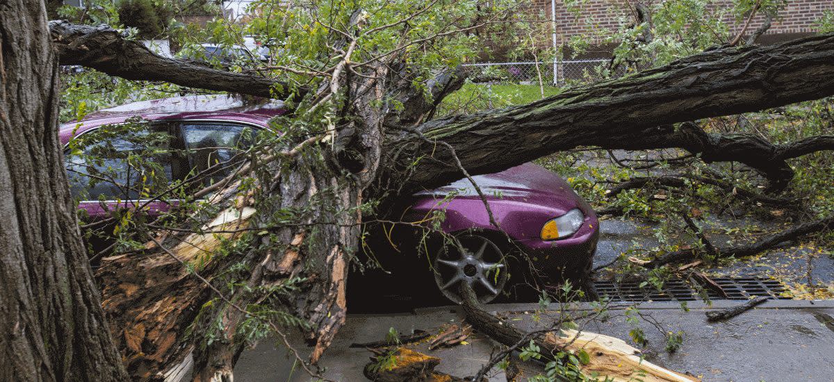 Does Car Insurance Cover a Natural Disaster?