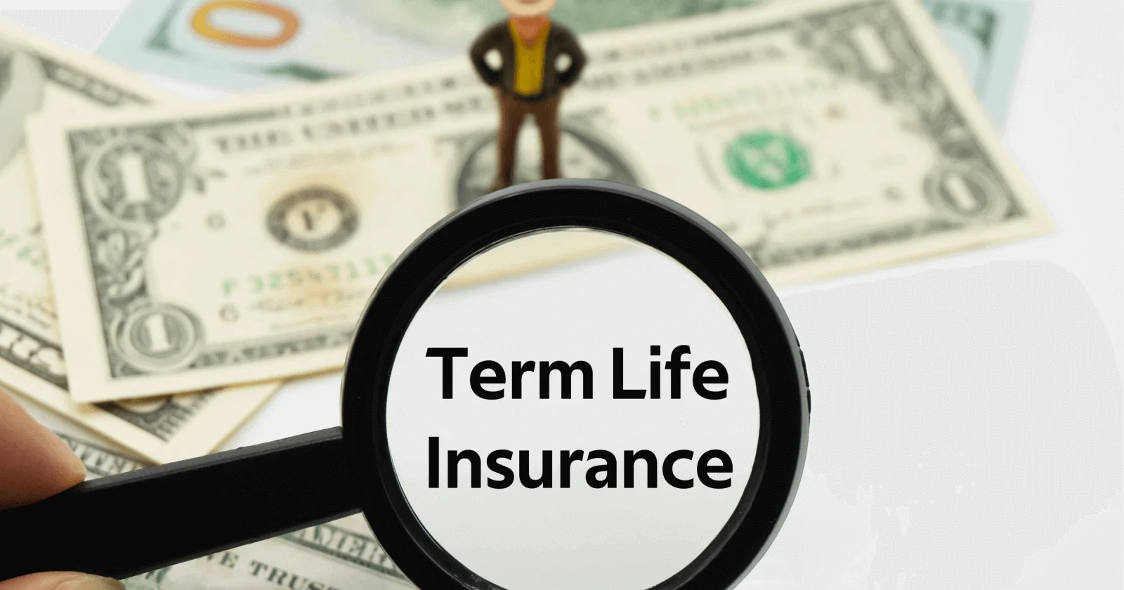 Surrender Value in Term Insurance