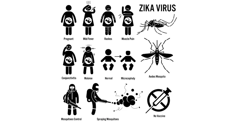 Zika Virus