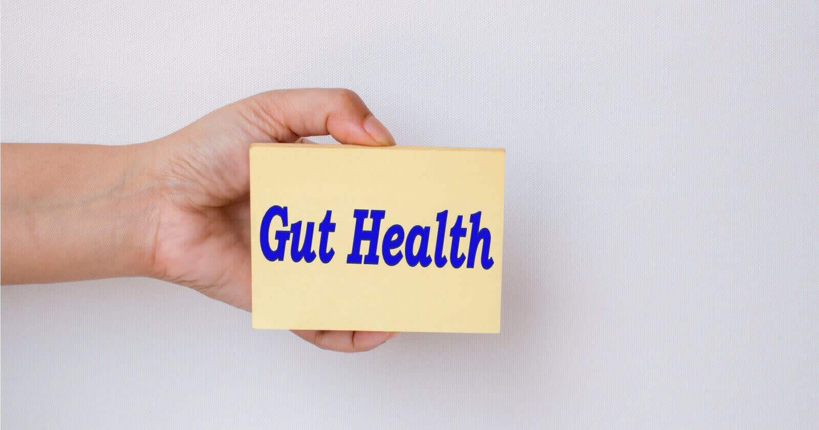 The link between gut health and nutrient absorption in the body
