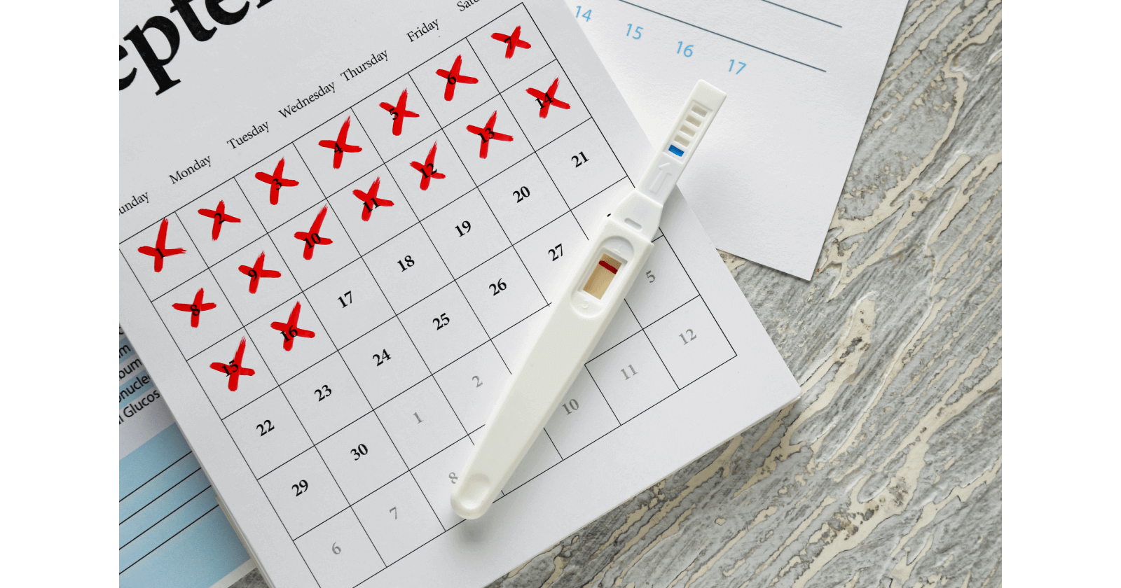 Things To Know About Pregnancy Tests Purpose, Timing & Procedure