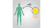 Yellow Fever Symptoms Causes Prevention And Treatments