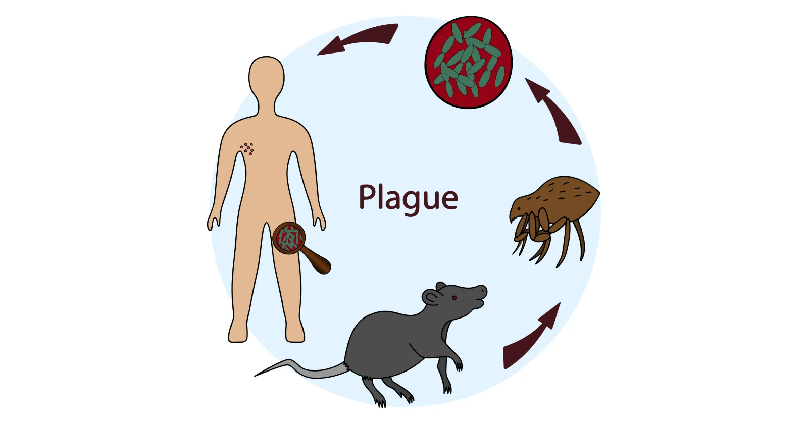 Overview of the Plague: Understanding the symptoms and causes