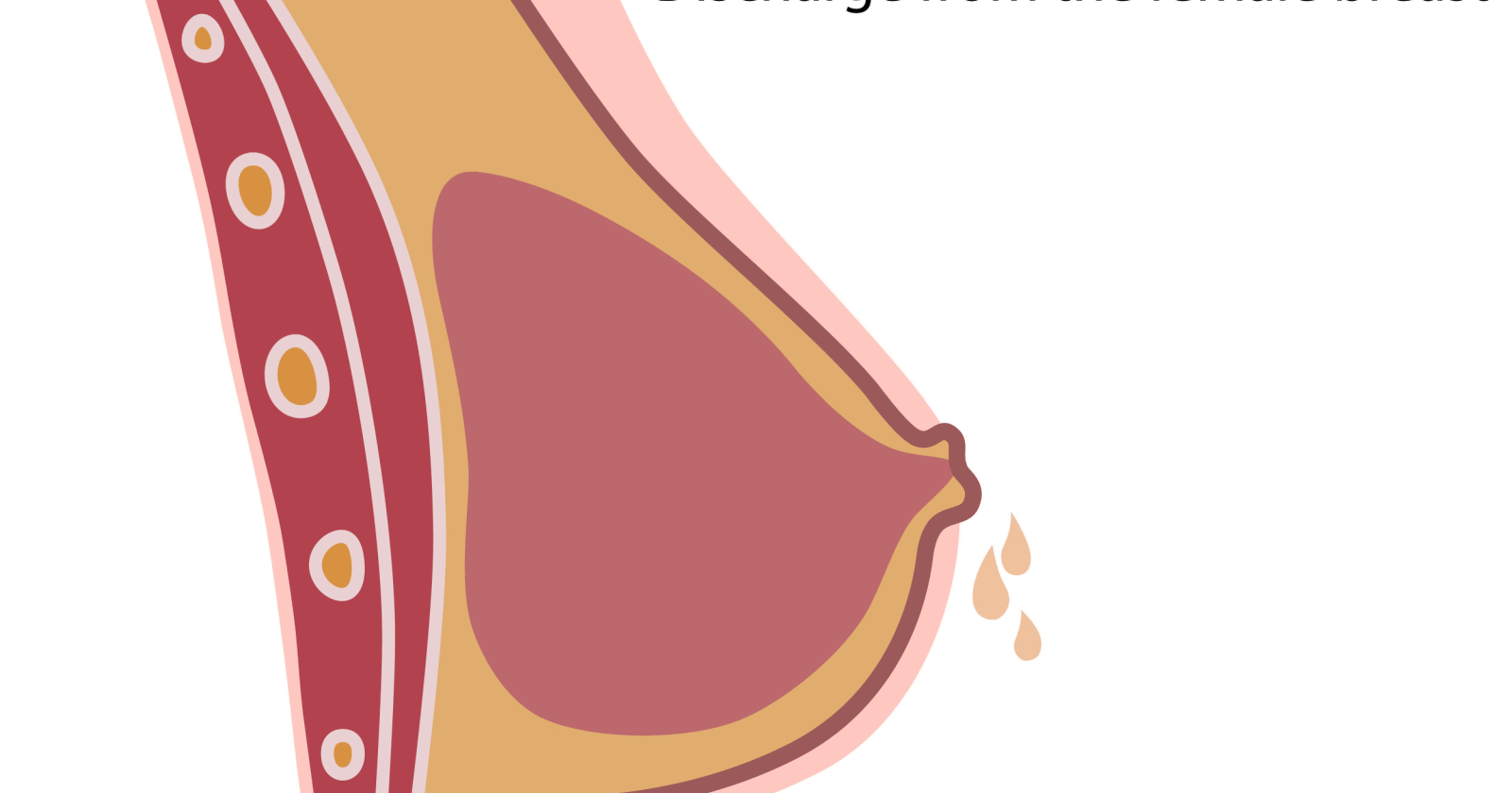 Nipple Discharge During Pregnancy: Leaking Breasts • Kopa Birth®