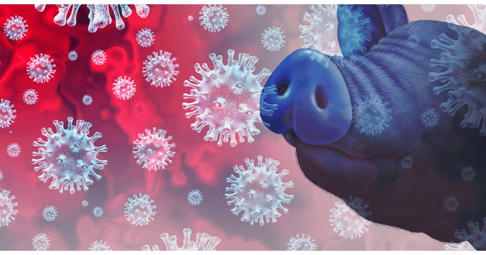 Swine Flu Symptoms, Causes and Treatment