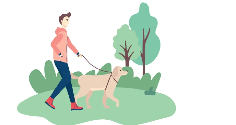 7 Health Benefits of Morning Walking Regularly
