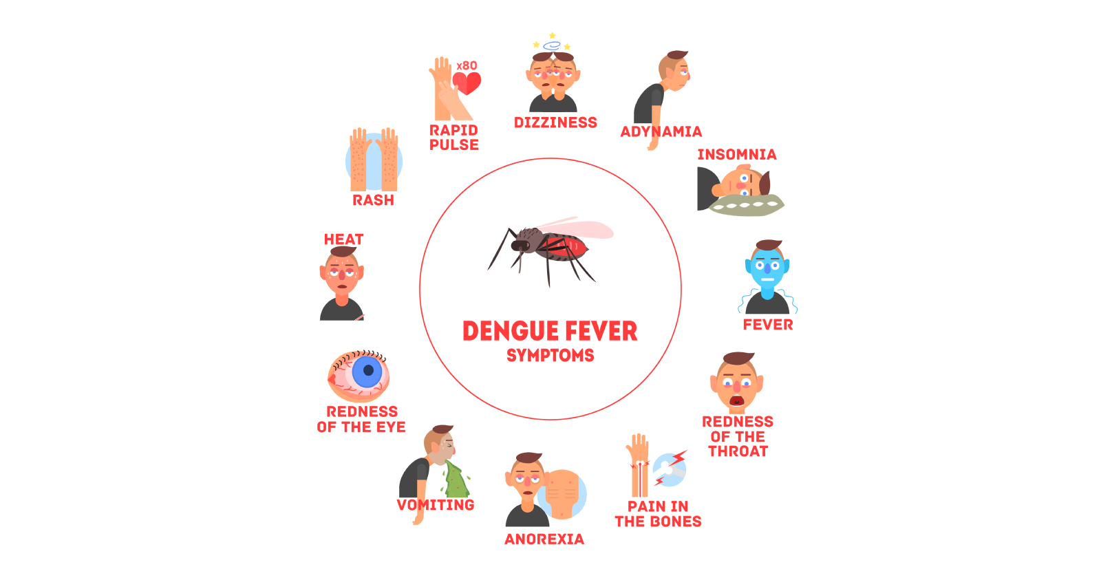 Understanding Dengue Fever: Symptoms, causes, and treatments