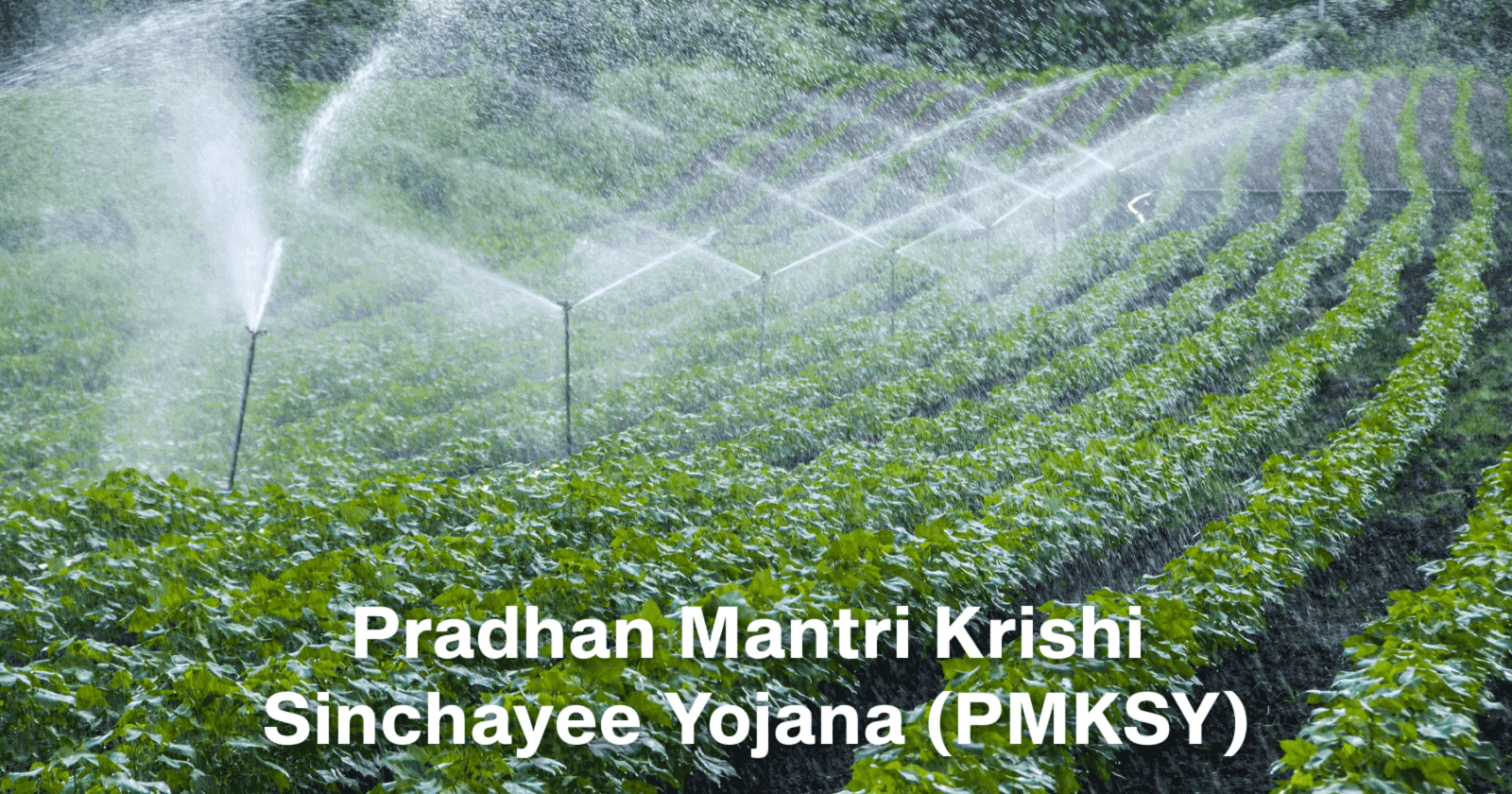 Pradhan Mantri Krishi Sinchayee Yojana (PMKSY)