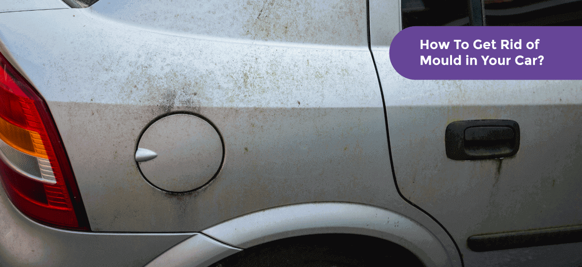 How To Get Rid of Mould in Your Car?