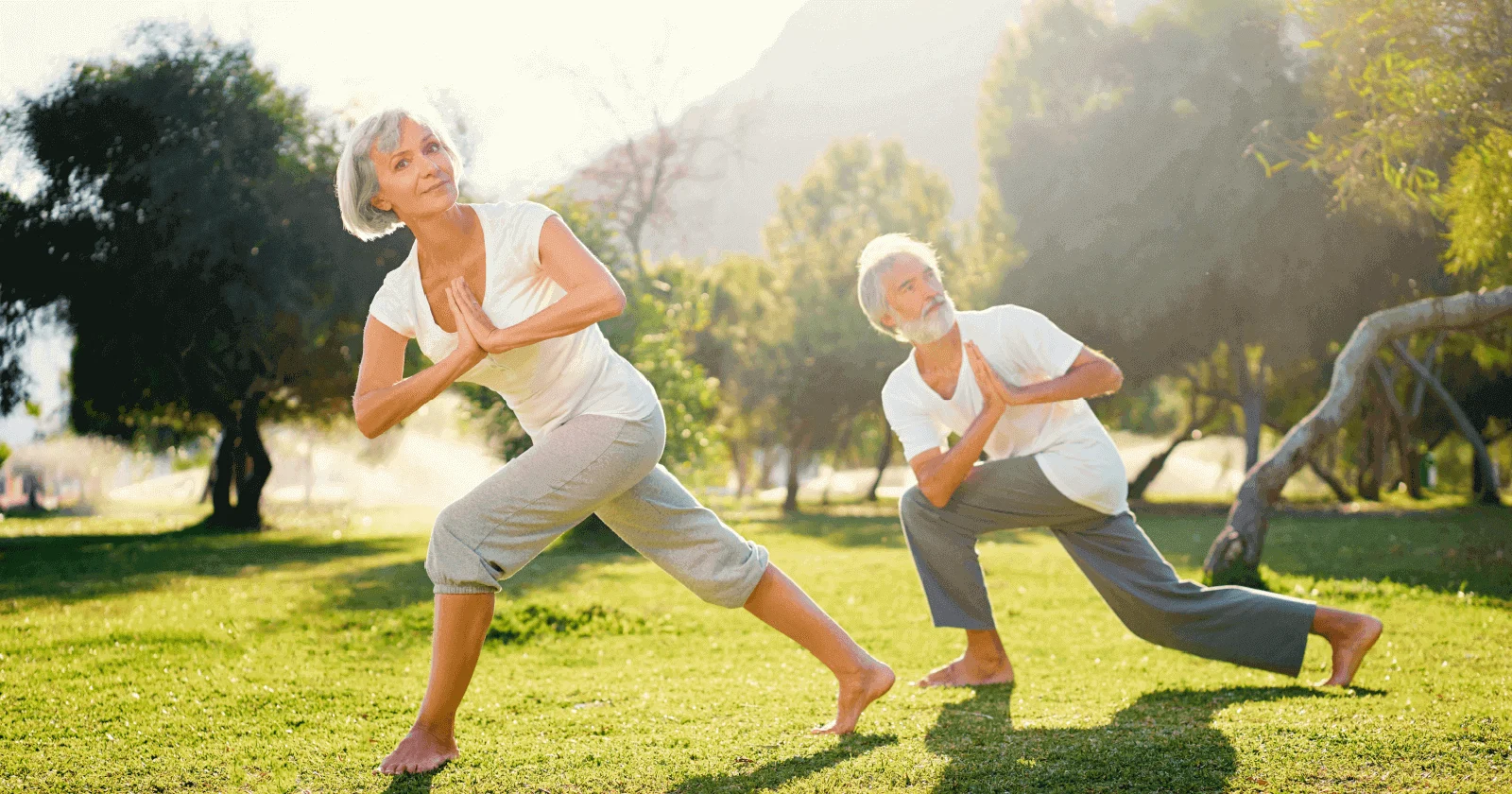 The importance of maintaining an active lifestyle in old age
