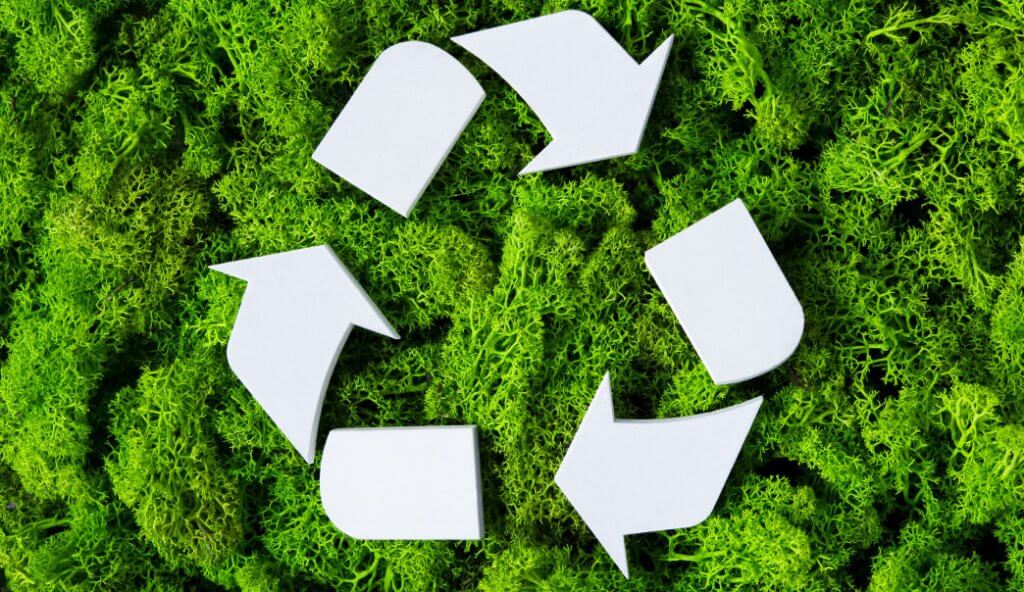 Have You Heard About Green Tax On Vehicles?