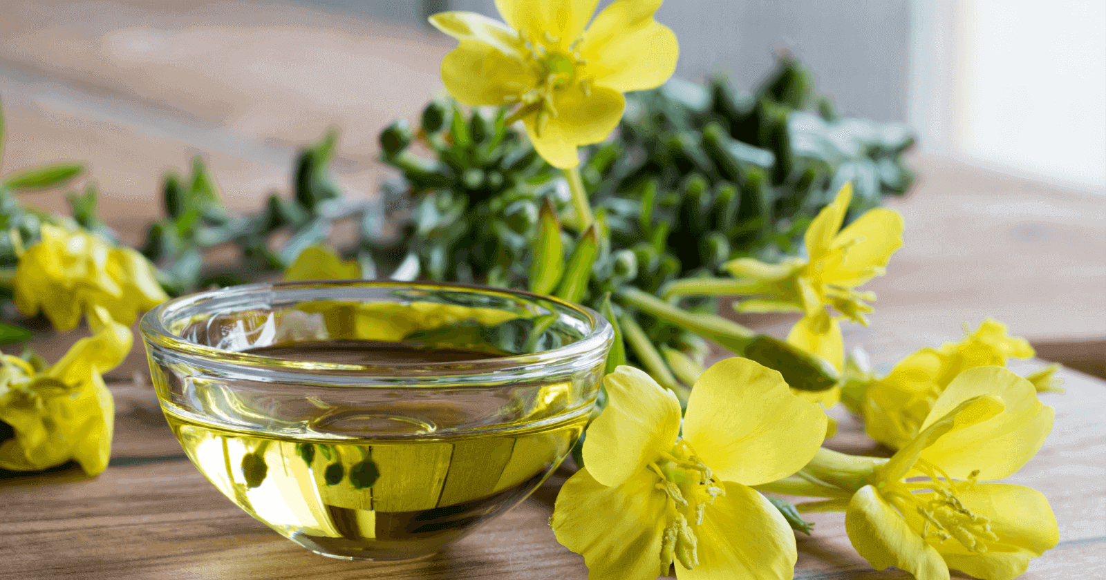 evening-primrose-oil-benefits-usage-side-effects