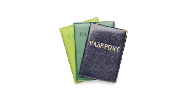 Different Types of Passports in India