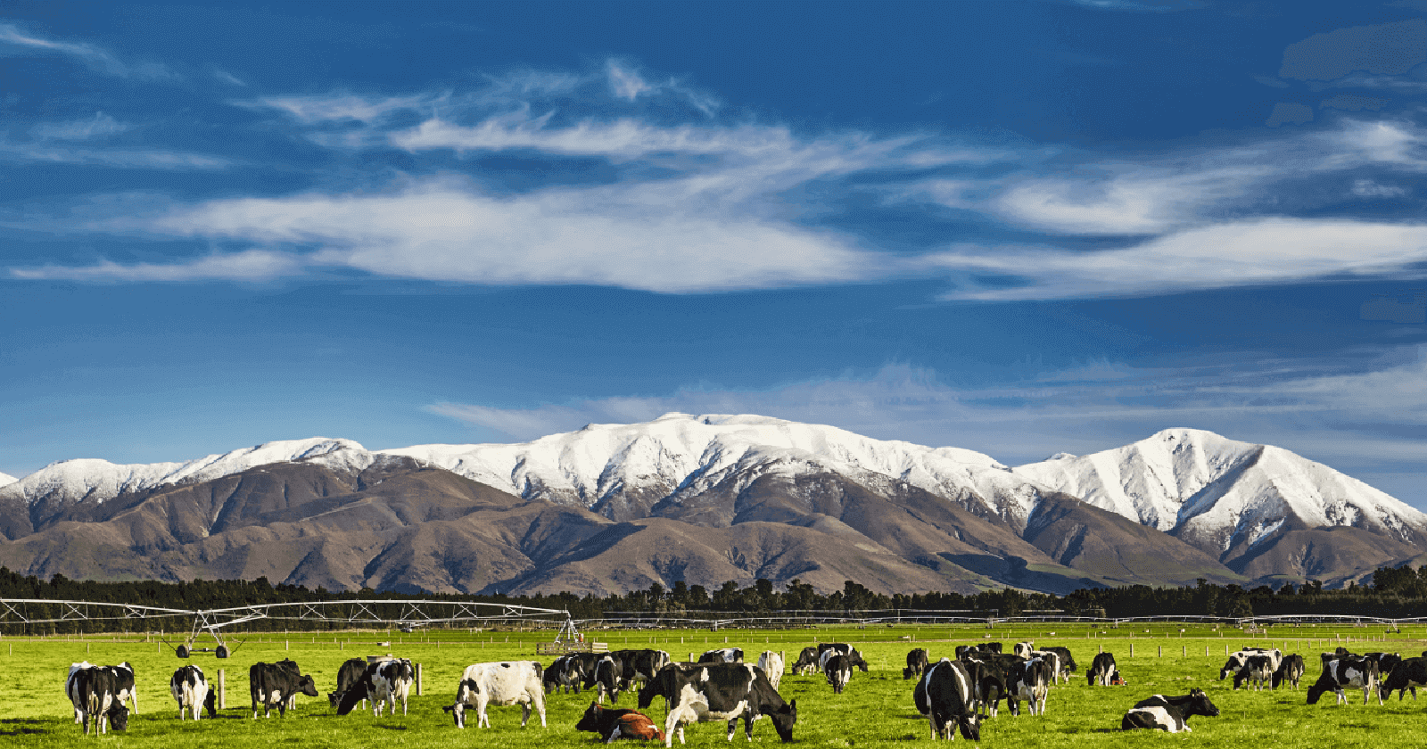Best time to visit New Zealand: All you need to know
