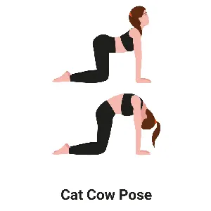 Cat-Cow Pose