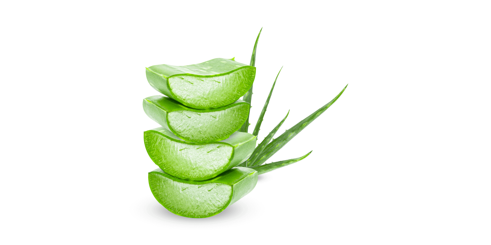 Aloe Vera Guide: Benefits, Side Effects, and More