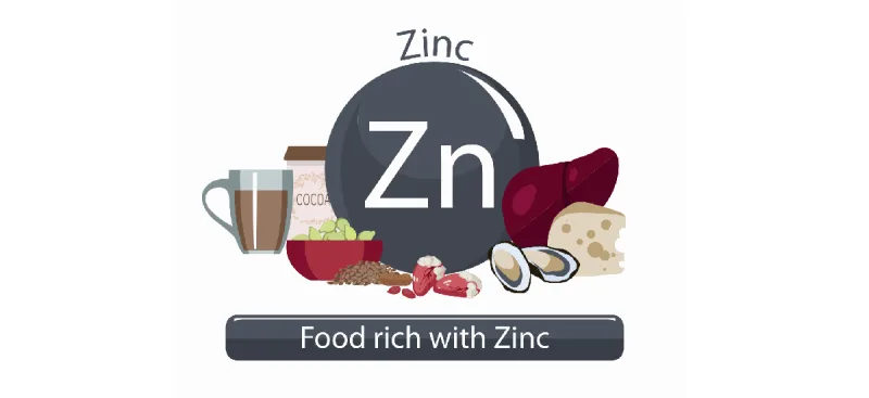 Zinc-rich food