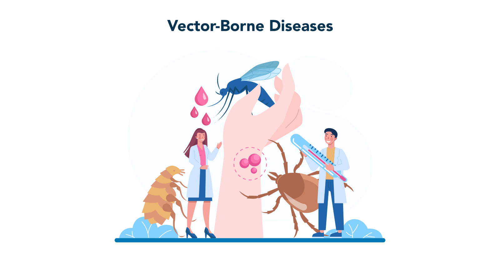 Common Vector Borne Diseases Symptoms Types Prevention Treatments   Common Vector Borne Diseases 