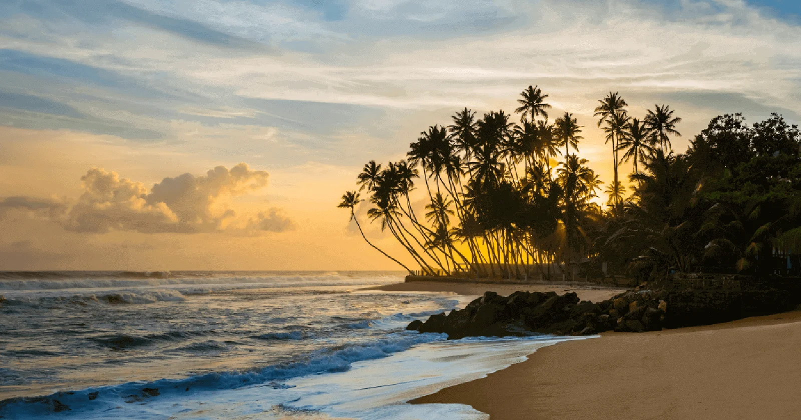 Best Time and Season to Visit Sri Lanka: Complete Guide