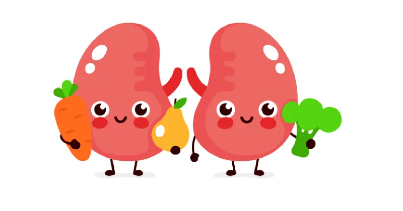 Best Food for Kidney Health