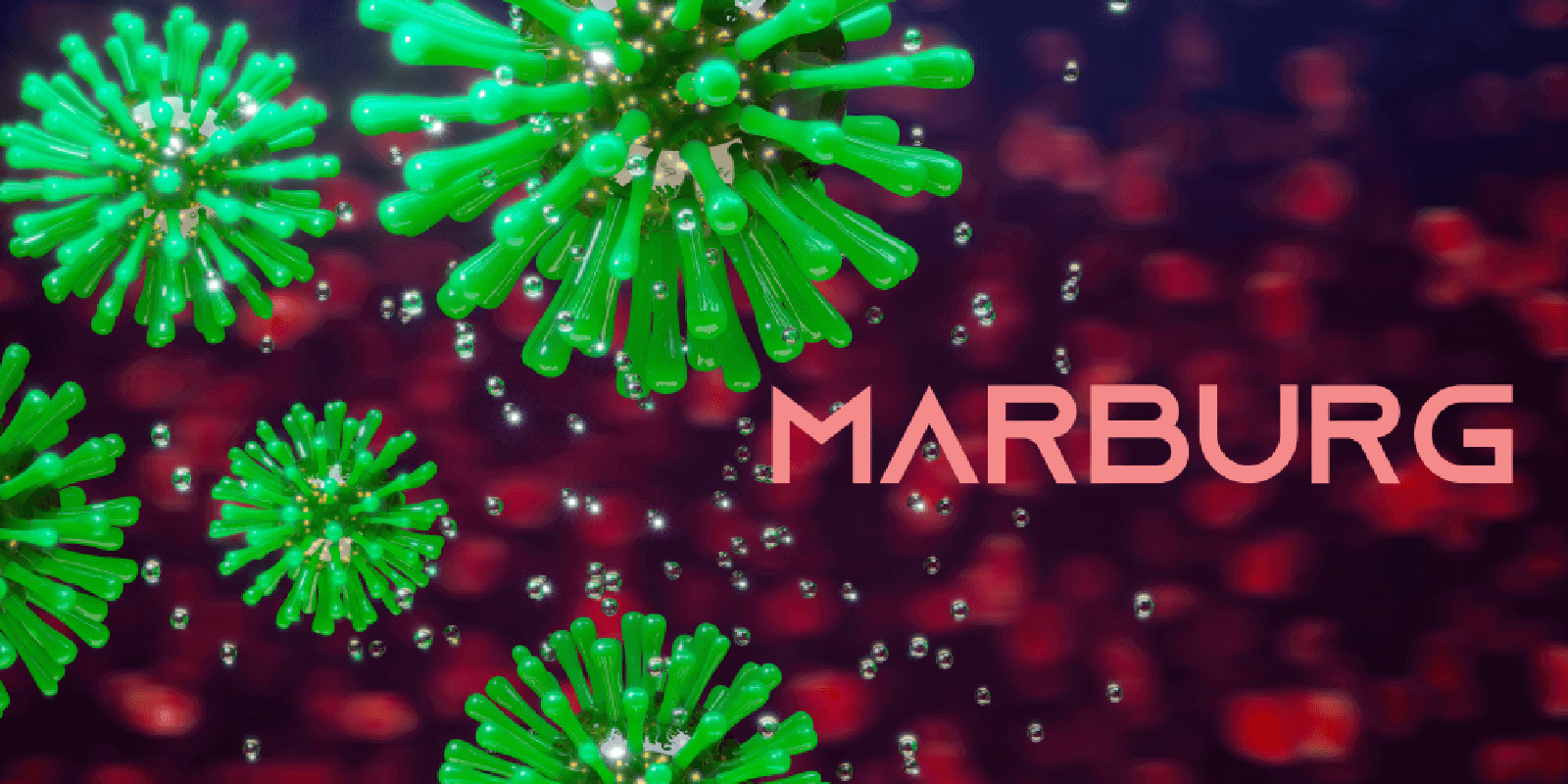 Marburg Virus: What is it, Symptoms, Causes & Treatment