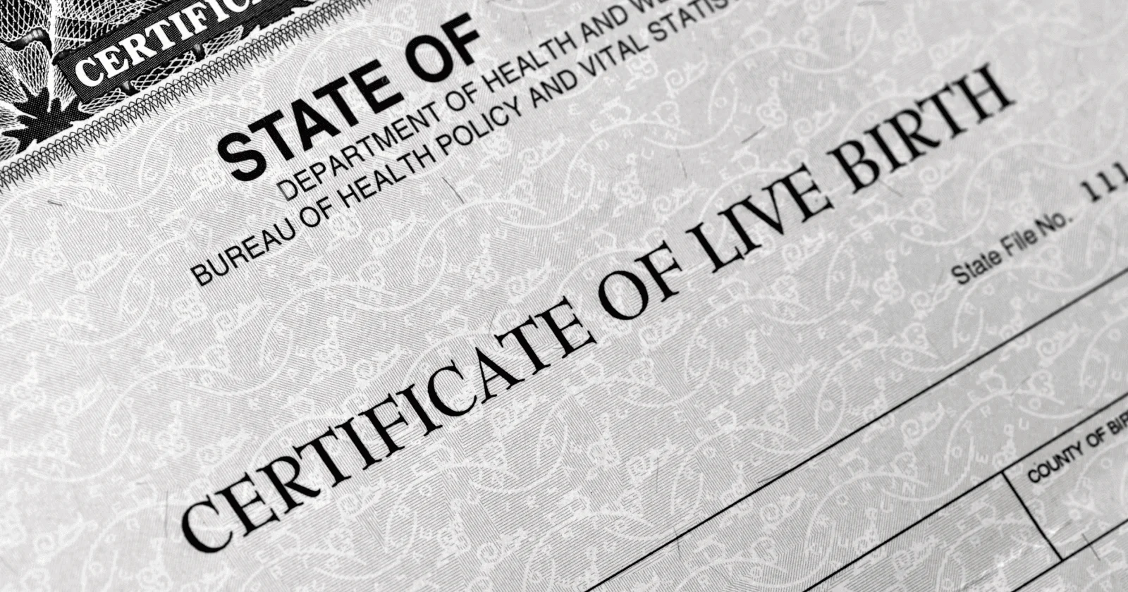 All You Need to Know About Birth Certificates in India 