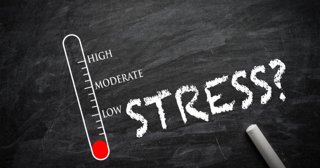 role-of-stress-in-exacerbating-nutrient-deficiencies