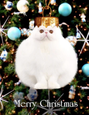 Kids collection banner