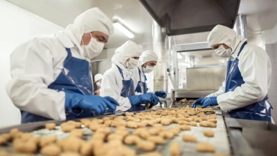 AI cooks up a feast: Innovation in the food ingredients industry 